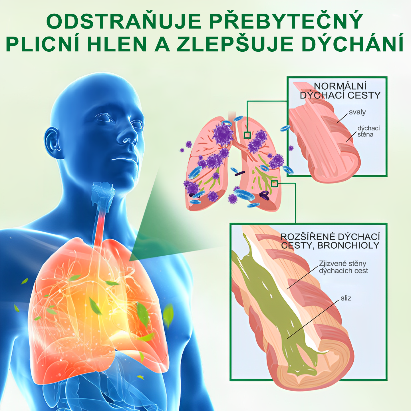 🍀🍀𝐆𝐨𝐨𝐲𝐞𝐞𝐫™ Pokročilý sprej na čištění plic -🧑⚕️ Podporuje zdraví plic, průdušek a dutin, napomáhá zdraví dýchacího systému a usnadňuje dýchání.